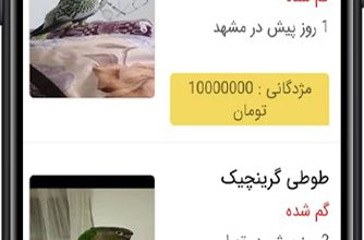 انتشار نسخه 2 گمگشته