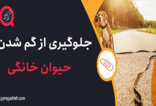 گم شدن حیوان خانگی