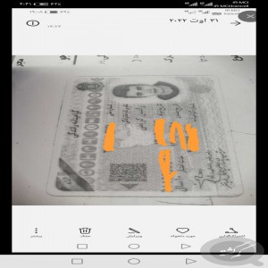 مدارک بنام رامین کریمی