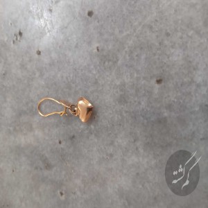 یک لنگه گوشواره بچگانه گم شده