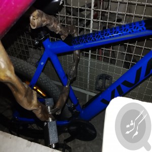 دوچرخه گمشده