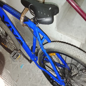 دوچرخه گمشده